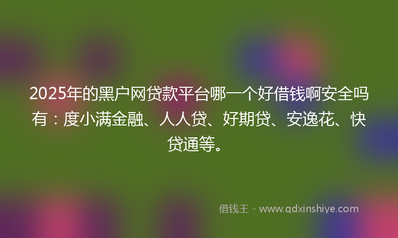 2025年的黑户网贷款平台哪一个好借钱啊安全吗有：度小满金融、人人贷、好期贷、安逸花、快贷通等。