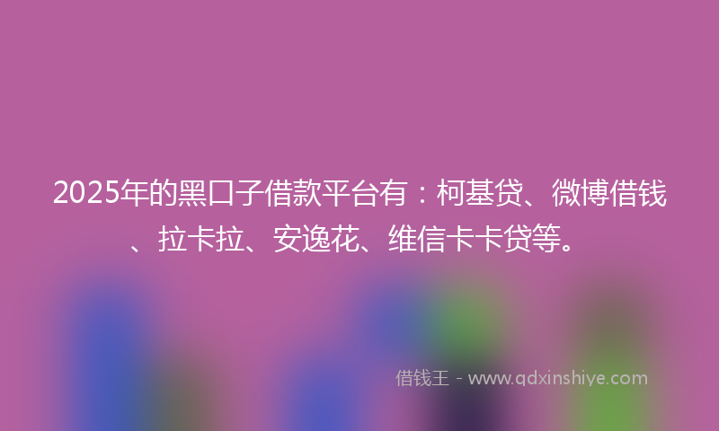 2025年的黑口子借款平台有：柯基贷、微博借钱、拉卡拉、安逸花、维信卡卡贷等。