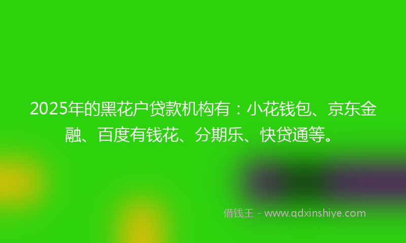 2025年的黑花户贷款机构有:小花钱包、京东金融、百度有钱花、分期乐、快贷通等。