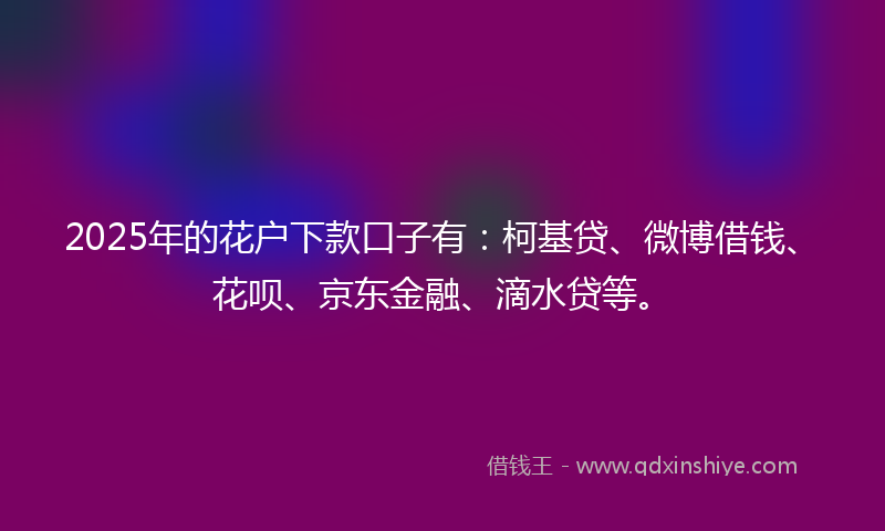 2025年的花户下款口子有：柯基贷、微博借钱、花呗、京东金融、滴水贷等。