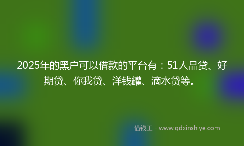 2025年的黑户可以借款的平台有：51人品贷、好期贷、你我贷、洋钱罐、滴水贷等。
