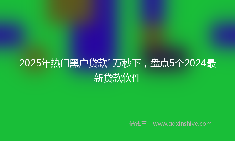 2025年热门黑户贷款1万秒下，盘点5个2024最新贷款软件