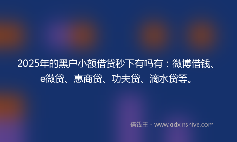 2025年的黑户小额借贷秒下有吗有：微博借钱、e微贷、惠商贷、功夫贷、滴水贷等。