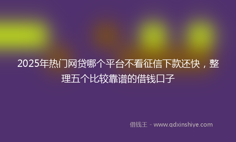 2025年热门网贷哪个平台不看征信下款还快，整理五个比较靠谱的借钱口子