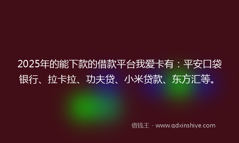 2025年的能下款的借款平台我爱卡有：平安口袋银行、拉卡拉、功夫贷、小米贷款、东方汇等。