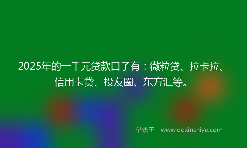 2025年的一千元贷款口子有：微粒贷、拉卡拉、信用卡贷、投友圈、东方汇等。