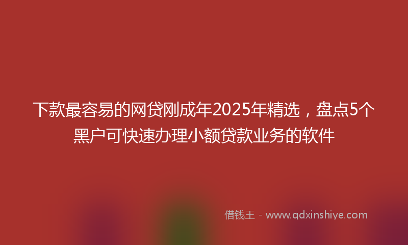 下款最容易的网贷刚成年2025年精选，盘点5个黑户可快速办理小额贷款业务的软件