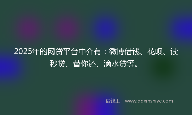 2025年的网贷平台中介有：微博借钱、花呗、读秒贷、替你还、滴水贷等。