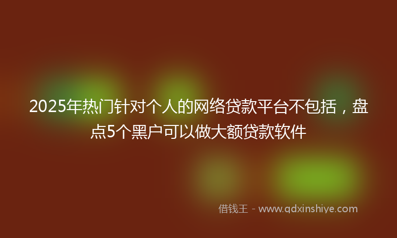 2025年热门针对个人的网络贷款平台不包括，盘点5个黑户可以做大额贷款软件