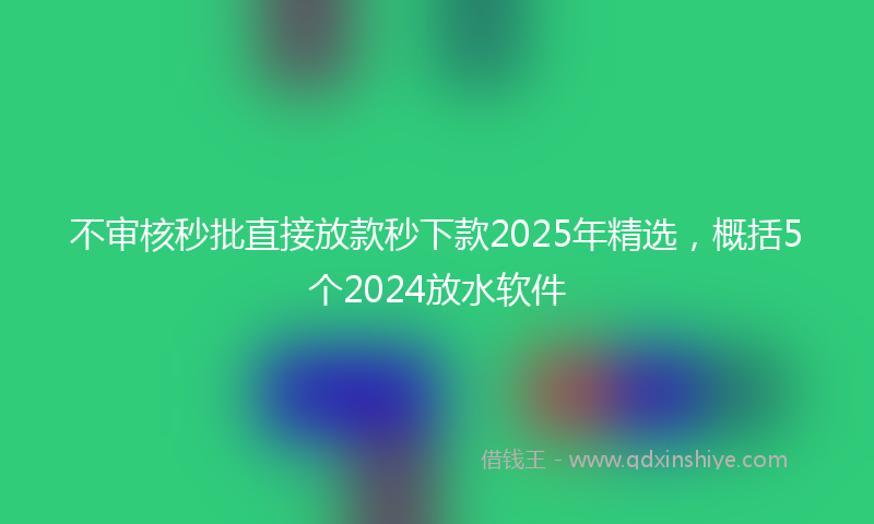不审核秒批直接放款秒下款2025年精选，概括5个2024放水软件