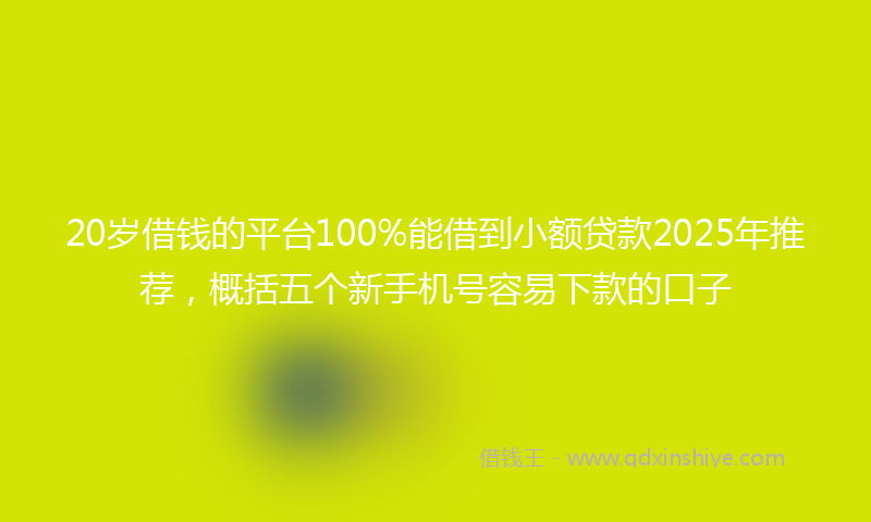 20岁借钱的平台100%能借到小额贷款2025年推荐，概括五个新手机号容易下款的口子