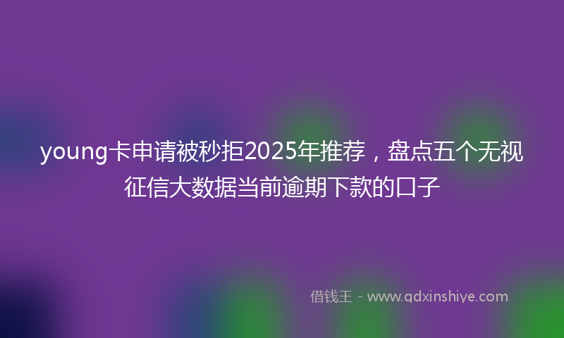 young卡申请被秒拒2025年推荐，盘点五个无视征信大数据当前逾期下款的口子