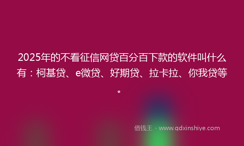 2025年的不看征信网贷百分百下款的软件叫什么有：柯基贷、e微贷、好期贷、拉卡拉、你我贷等。
