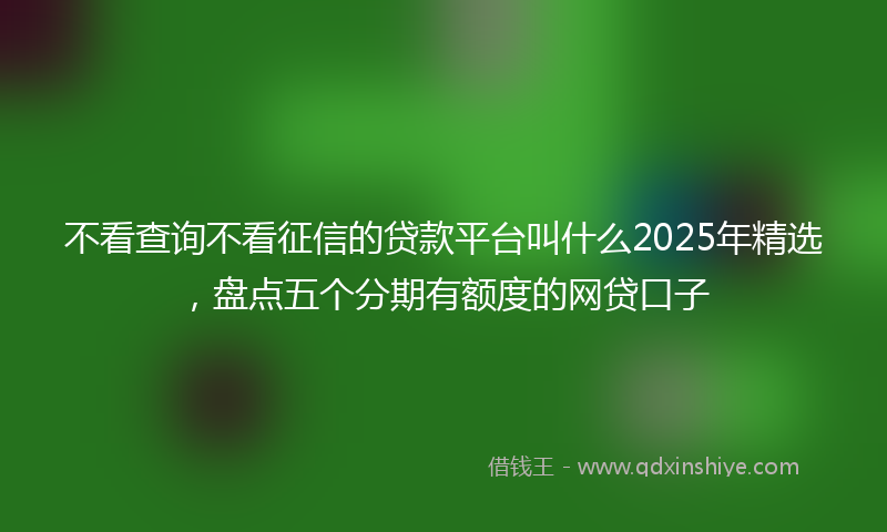 不看查询不看征信的贷款平台叫什么2025年精选，盘点五个分期有额度的网贷口子