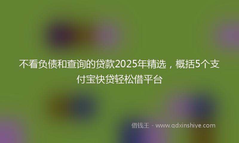 不看负债和查询的贷款2025年精选，概括5个支付宝快贷轻松借平台