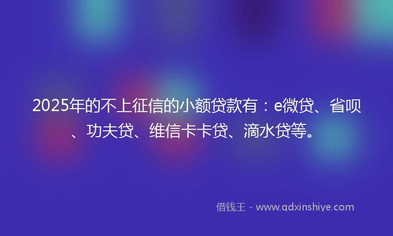 2025年的不上征信的小额贷款有：e微贷、省呗、功夫贷、维信卡卡贷、滴水贷等。
