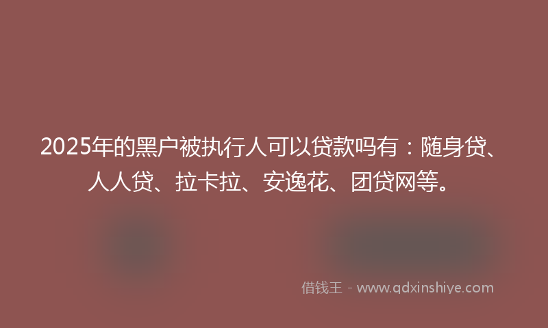 2025年的黑户被执行人可以贷款吗有：随身贷、人人贷、拉卡拉、安逸花、团贷网等。