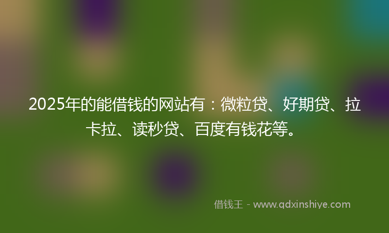 2025年的能借钱的网站有：微粒贷、好期贷、拉卡拉、读秒贷、百度有钱花等。