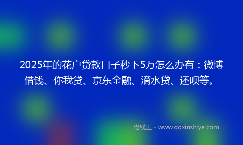 2025年的花户贷款口子秒下5万怎么办有：微博借钱、你我贷、京东金融、滴水贷、还呗等。