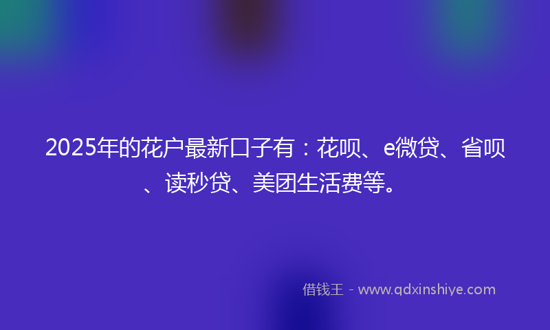 2025年的花户最新口子有:花呗、e微贷、省呗、读秒贷、美团生活费等。
