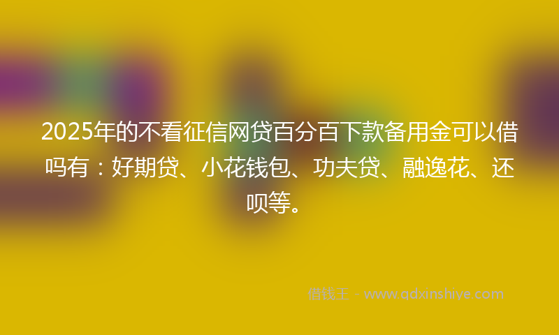 2025年的不看征信网贷百分百下款备用金可以借吗有：好期贷、小花钱包、功夫贷、融逸花、还呗等。