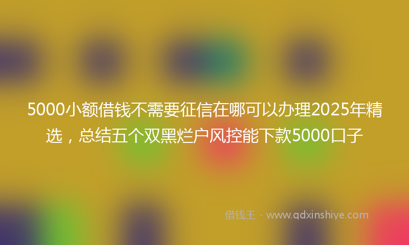 5000小额借钱不需要征信在哪可以办理2025年精选，总结五个双黑烂户风控能下款5000口子