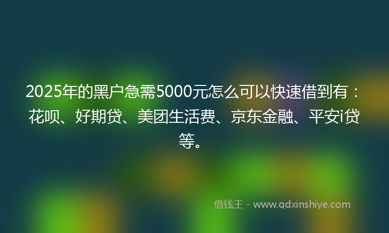 2025年的黑户急需5000元怎么可以快速借到有：花呗、好期贷、美团生活费、京东金融、平安i贷等。