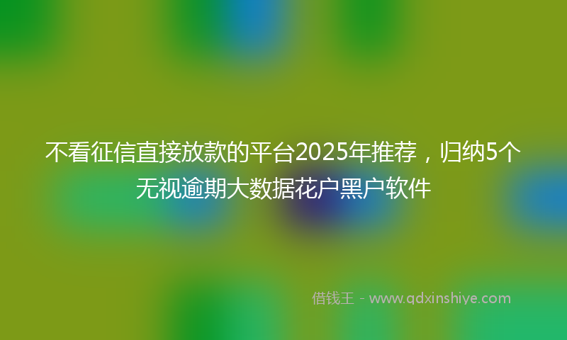 不看征信直接放款的平台2025年推荐，归纳5个无视逾期大数据花户黑户软件