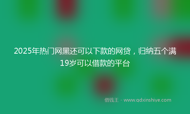 2025年热门网黑还可以下款的网贷，归纳五个满19岁可以借款的平台