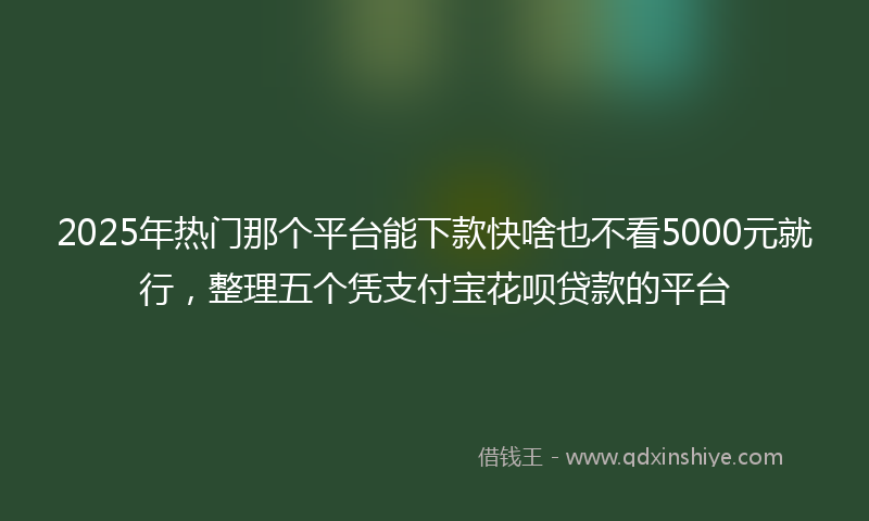 2025年热门那个平台能下款快啥也不看5000元就行，整理五个凭支付宝花呗贷款的平台