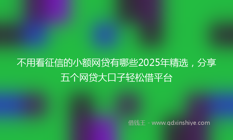 不用看征信的小额网贷有哪些2025年精选，分享五个网贷大口子轻松借平台