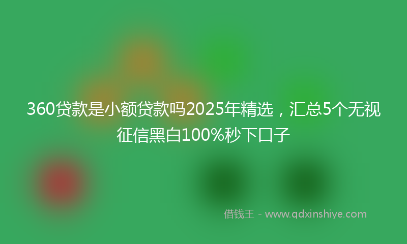 360贷款是小额贷款吗2025年精选，汇总5个无视征信黑白100%秒下口子