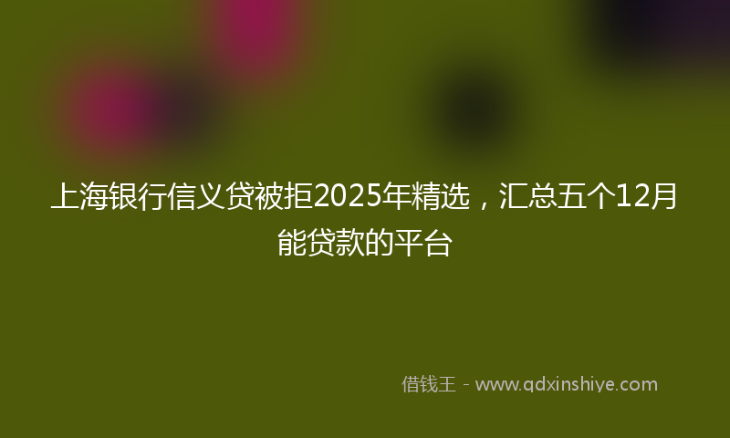 上海银行信义贷被拒2025年精选，汇总五个12月能贷款的平台