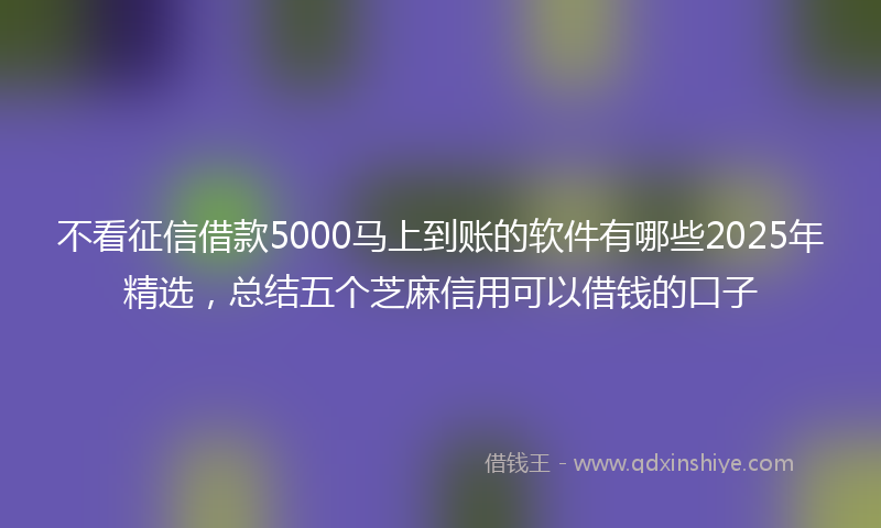 不看征信借款5000马上到账的软件有哪些2025年精选，总结五个芝麻信用可以借钱的口子