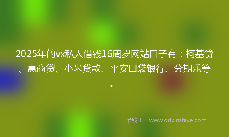 2025年的vx私人借钱16周岁网站口子有：柯基贷、惠商贷、小米贷款、平安口袋银行、分期乐等。