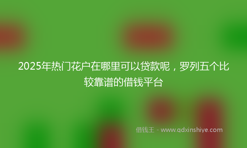 2025年热门花户在哪里可以贷款呢，罗列五个比较靠谱的借钱平台