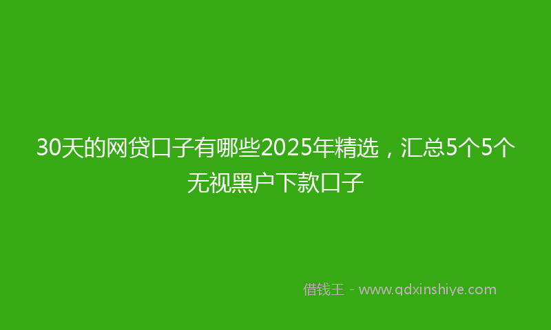 30天的网贷口子有哪些2025年精选，汇总5个5个无视黑户下款口子
