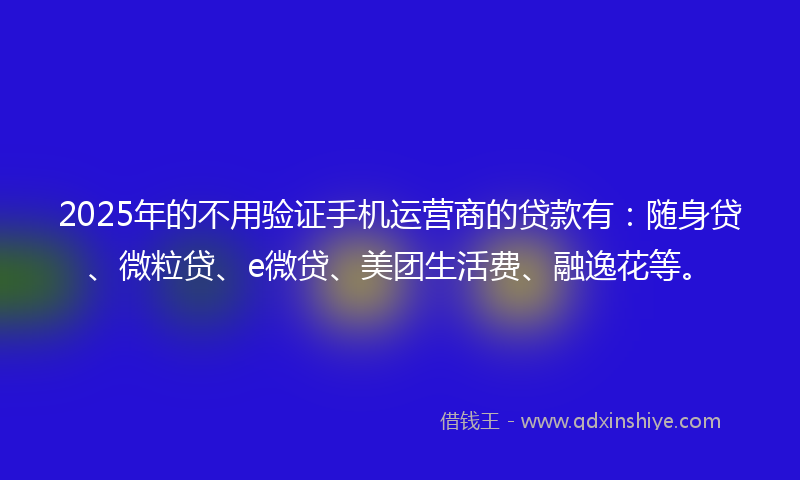 2025年的不用验证手机运营商的贷款有：随身贷、微粒贷、e微贷、美团生活费、融逸花等。