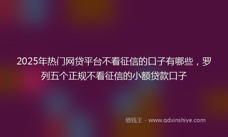 2025年热门网贷平台不看征信的口子有哪些，罗列五个正规不看征信的小额贷款口子