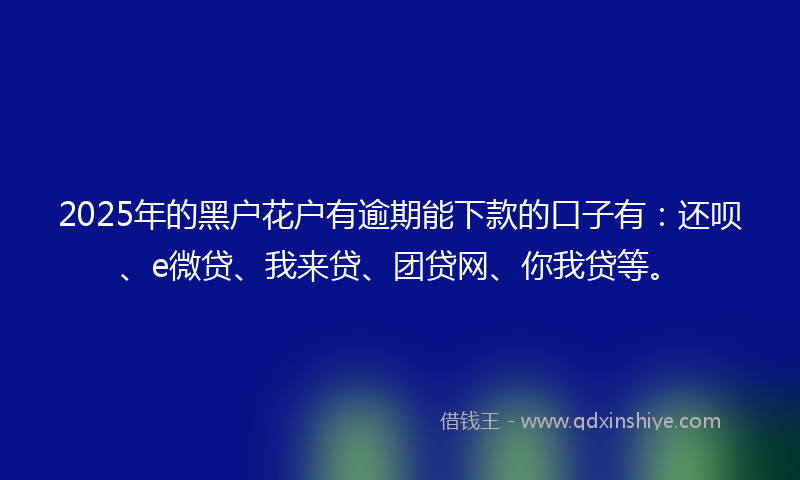 2025年的黑户花户有逾期能下款的口子有：还呗、e微贷、我来贷、团贷网、你我贷等。