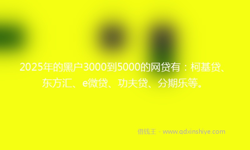 2025年的黑户3000到5000的网贷有：柯基贷、东方汇、e微贷、功夫贷、分期乐等。