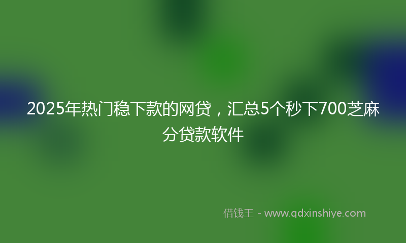 2025年热门稳下款的网贷，汇总5个秒下700芝麻分贷款软件