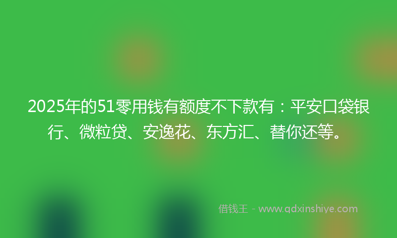 2025年的51零用钱有额度不下款有：平安口袋银行、微粒贷、安逸花、东方汇、替你还等。
