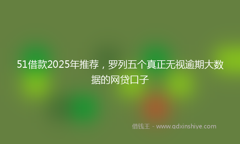 51借款2025年推荐,罗列五个真正无视逾期大数据的网贷口子