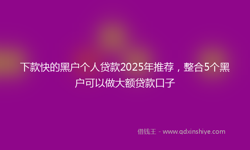 下款快的黑户个人贷款2025年推荐，整合5个黑户可以做大额贷款口子