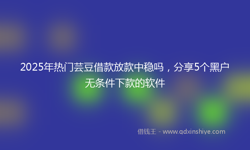 2025年热门芸豆借款放款中稳吗，分享5个黑户无条件下款的软件