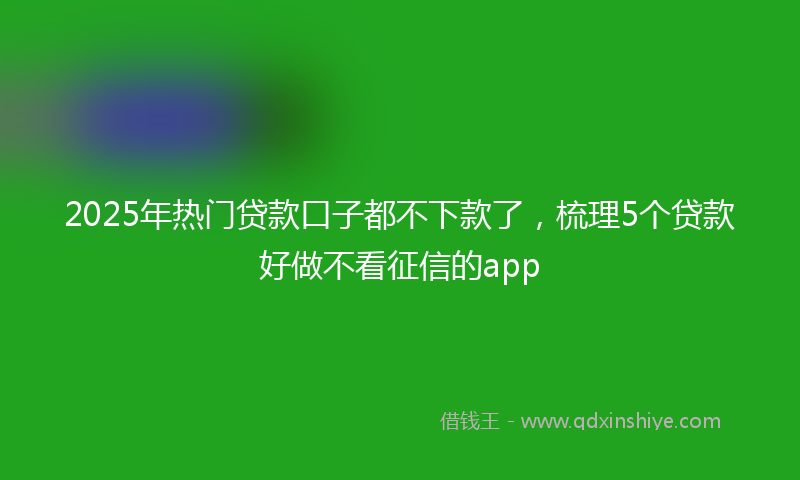 2025年热门贷款口子都不下款了，梳理5个贷款好做不看征信的app