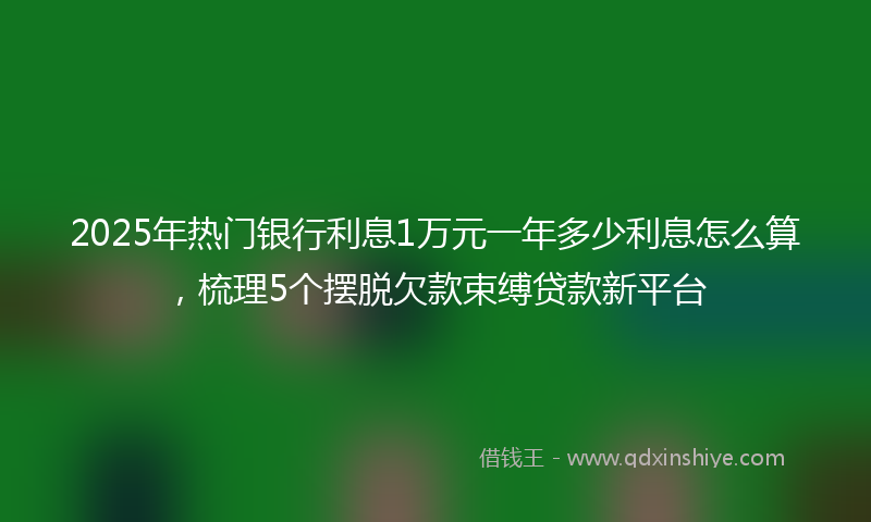 2025年热门银行利息1万元一年多少利息怎么算，梳理5个摆脱欠款束缚贷款新平台