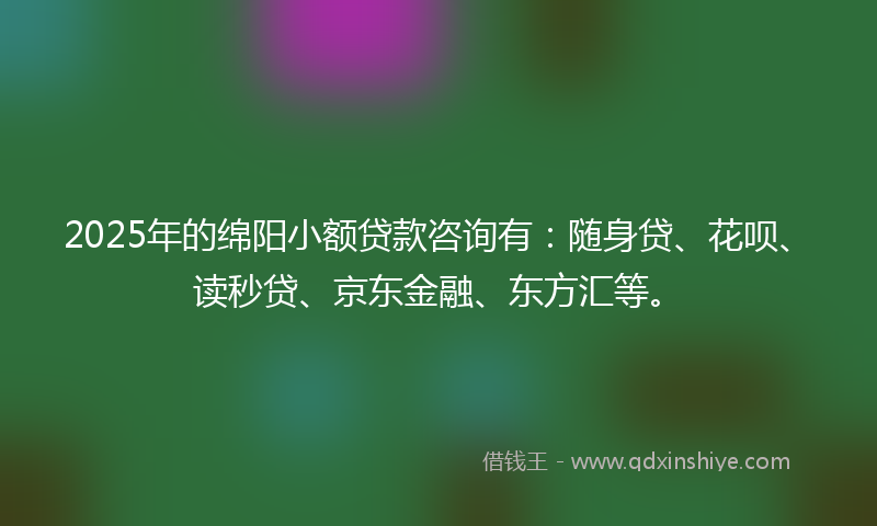 2025年的绵阳小额贷款咨询有：随身贷、花呗、读秒贷、京东金融、东方汇等。