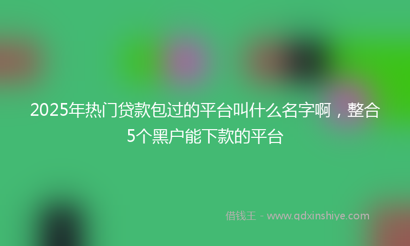 2025年热门贷款包过的平台叫什么名字啊，整合5个黑户能下款的平台